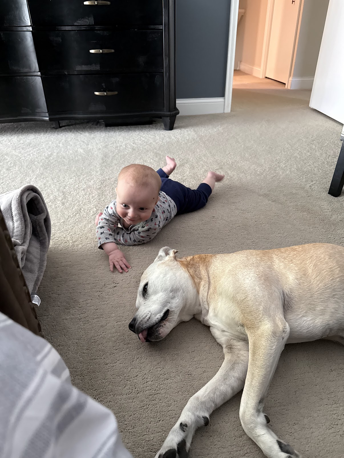 Baby doing tummy time next to resting pitbull