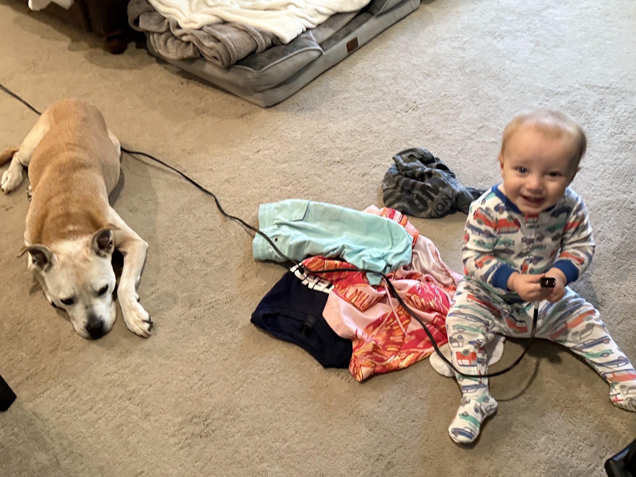 Baby and pitbull playing on the floor