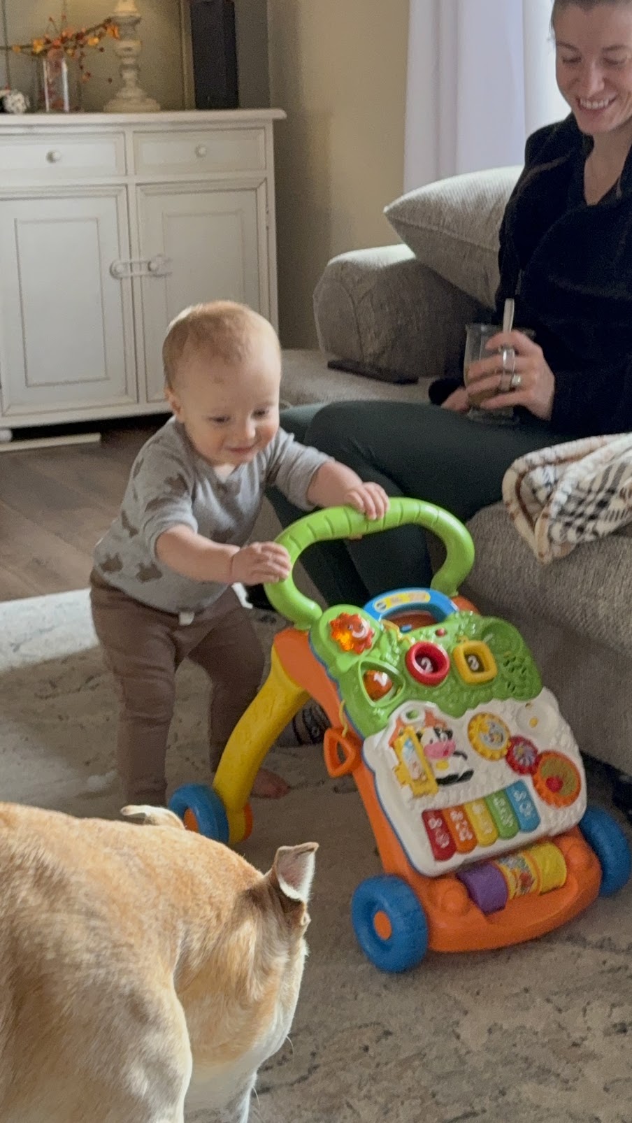Baby with walker toy while pitbull watches