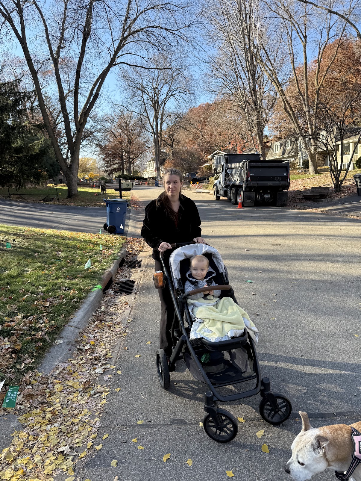 Mom with stroller and dog on autumn walk